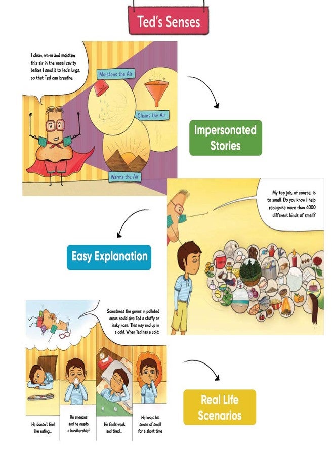 Brainsmith Ted's Senses Storybook Set - 5 Illustrated Books for Kids to Learn About Sense Organs Through Fun Bedtime Stories, Educational and Interactive Early Learning, Gift Set for Children 4+ Years - Image 5